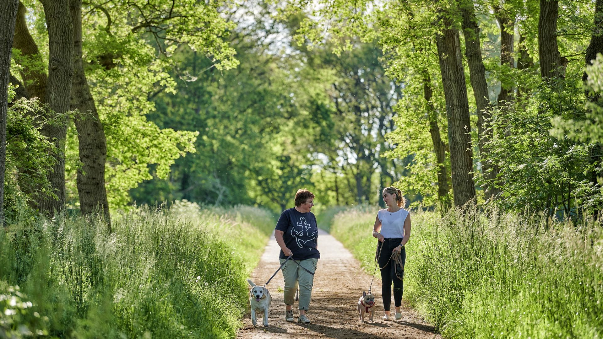 Zwei Frauen gehen im Wald mit Hunden spazieren