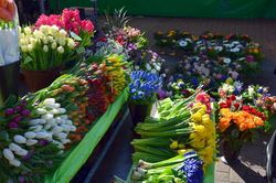 Wochenmarktstand mit Blumen