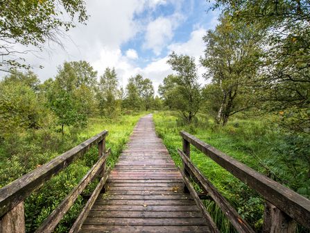 Ahlenmoorerlebnispfad Geestland